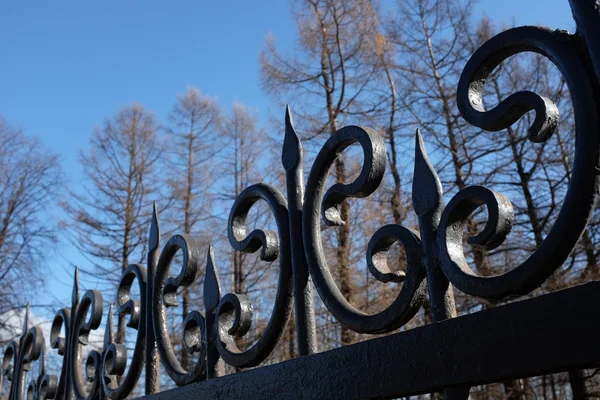 Wrought iron fence against the sky — Stock Photo, Image