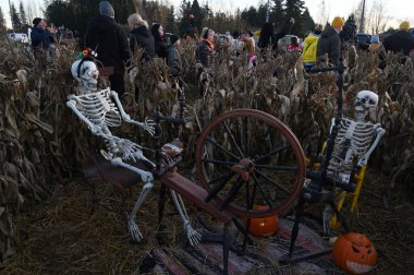 Salo, Finlandiya 19 Ekim 2025: Balkabağı Haftası. Balkabağı süslemeleri, deneyimler, tatlar ve eğlence aktiviteleriyle dolu aile dostu bir kutlama..