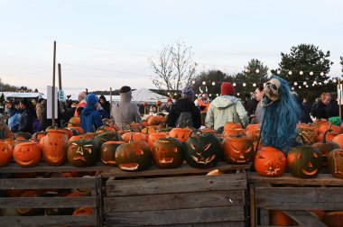 Salo, Finlandiya 19 Ekim 2025: Balkabağı Haftası. Balkabağı süslemeleri, deneyimler, tatlar ve eğlence aktiviteleriyle dolu aile dostu bir kutlama..