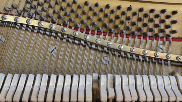 All'interno del pianoforte: spago, spilli, tasti e martelli — Video Stock