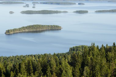 Üstten Görünüm, Koli Milli Parkı, Finlandiya