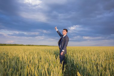 mutlu çiftçi, işadamı, buğday alanı elleri ve başparmak ile ayakta