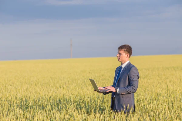 Empresario en un campo de trigo — Foto de Stock