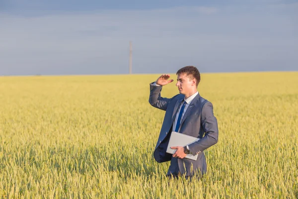 Uomo d'affari su un campo di grano — Foto Stock