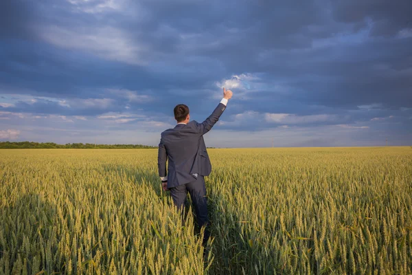 Glücklicher Bauer, Geschäftsmann, mit erhobenen Händen und Daumen im Weizenfeld stehend — Stockfoto