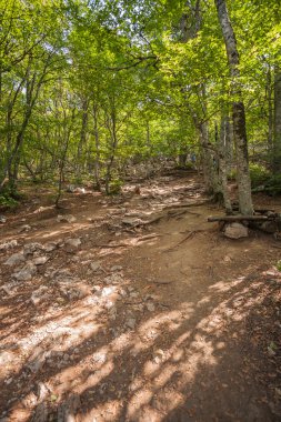 Dondurma külahı iki kepçe