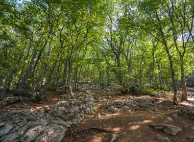 Dondurma külahı iki kepçe