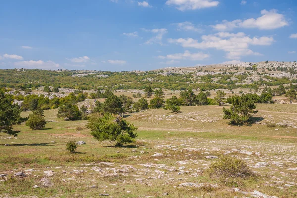 Road on mountain plateau Ai-Petri in Crimea — Stock Photo, Image