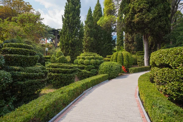 Beautiful garden with hedges — Stock Photo, Image