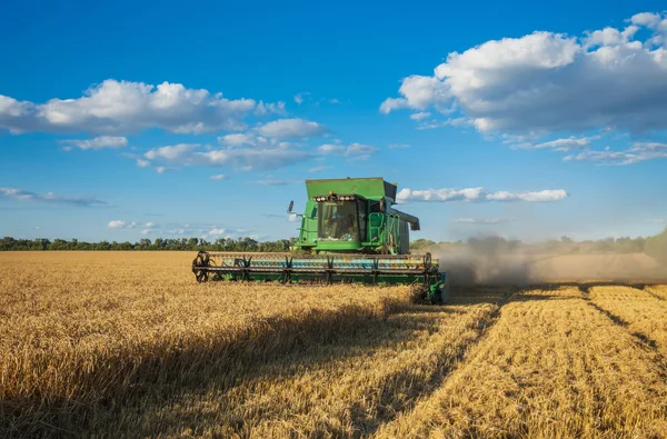 Harvesting combine in the field