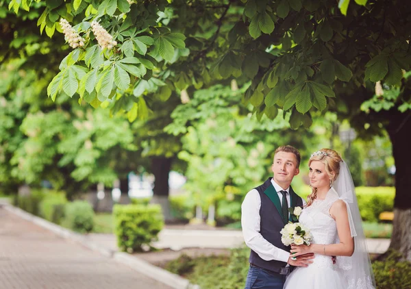 Mutlu gelin ve damat — Stok fotoğraf