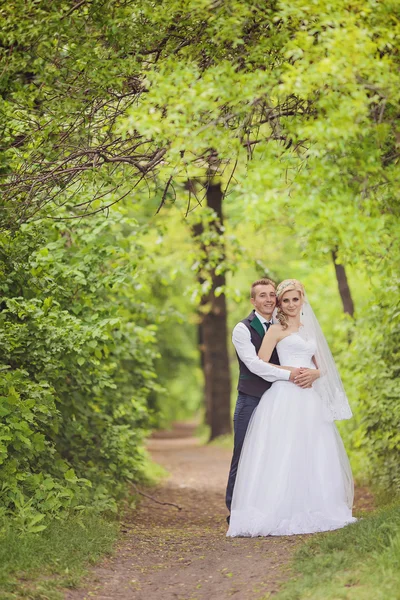 Joven pareja de boda disfrutando de momentos románticos — Foto de Stock