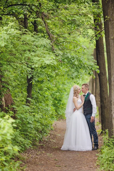 Joven pareja de boda disfrutando de momentos románticos —  Fotos de Stock