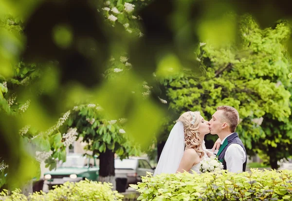 Novia y novio besándose en el parque — Foto de Stock