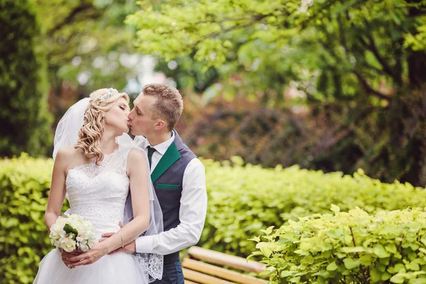 공원에서 키스 하는 신랑과 신부 — 스톡 사진