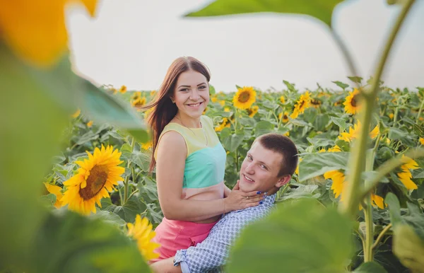 Para w polu słoneczników — Zdjęcie stockowe