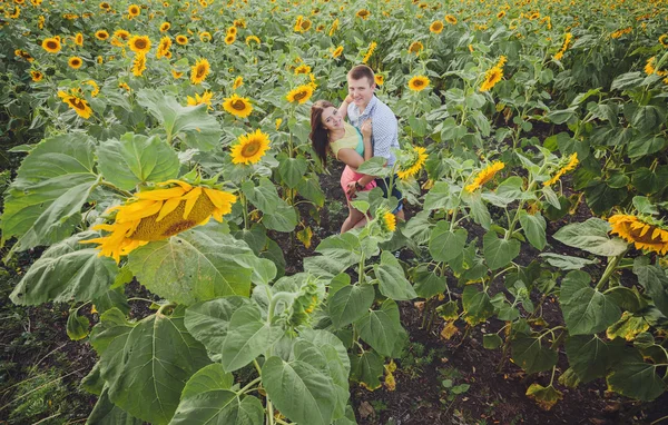 Paar in einem Feld von Sonnenblumen — Stockfoto