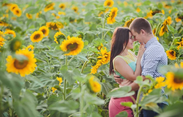 Couple in a field of sunflowers — Stock Photo, Image