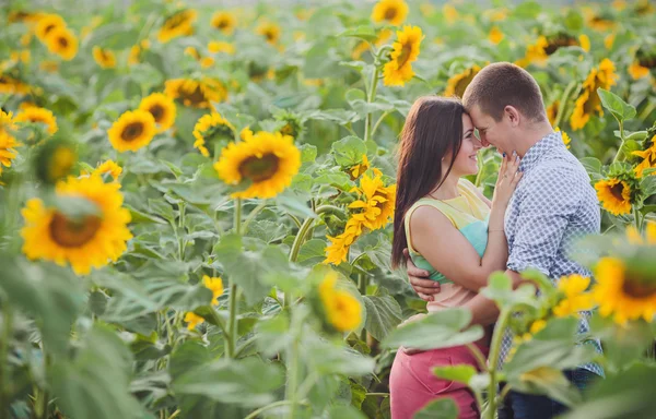 Paar in einem Feld von Sonnenblumen — Stockfoto