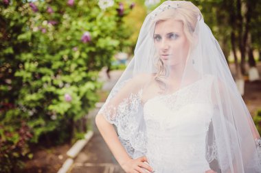 Güzel gelin fotoğraf