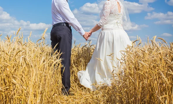 Junges schönes Hochzeitspaar — Stockfoto