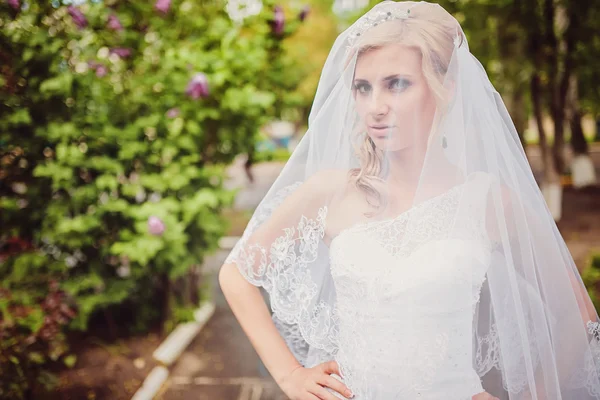 Güzel gelin fotoğraf