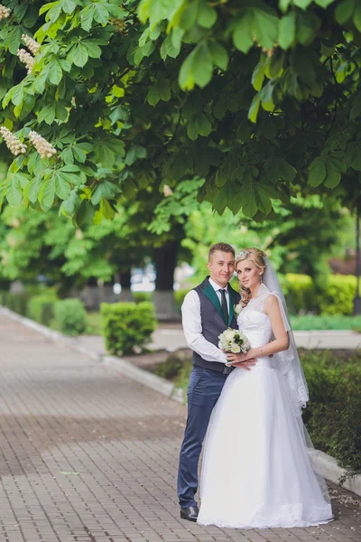 Joven pareja de boda disfrutando de momentos románticos — Foto de Stock