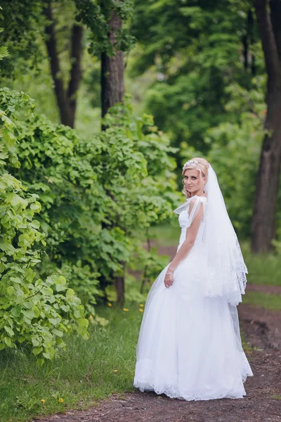 Foto bella sposa — Foto Stock