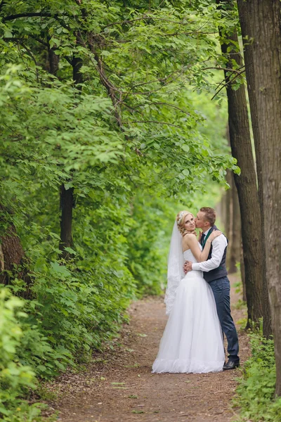 Młoda para ślubna ciesząca się romantycznymi chwilami — Zdjęcie stockowe