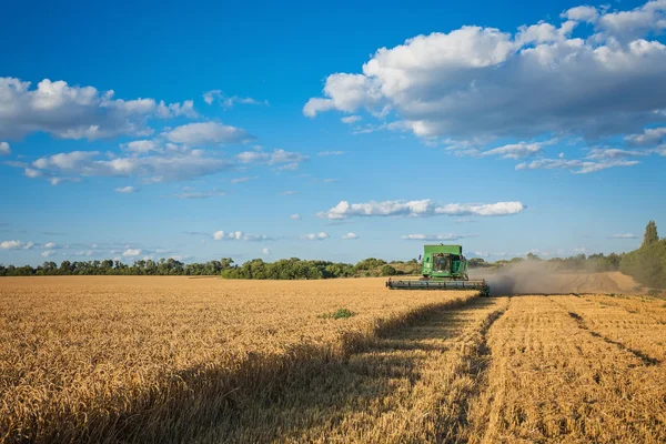 Harvesting combine in the field — Stock Photo, Image