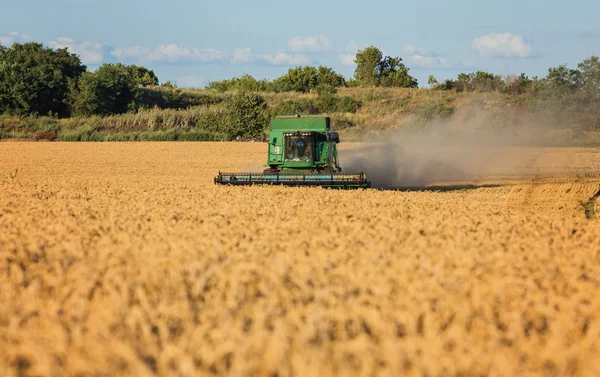 Harvesting combine in the field — Stock Photo, Image