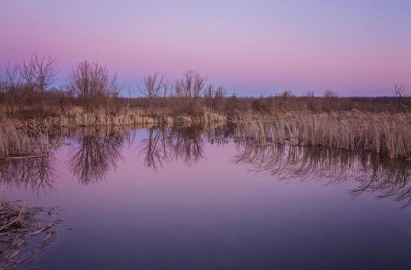 Rivier en spring bos. — Stockfoto