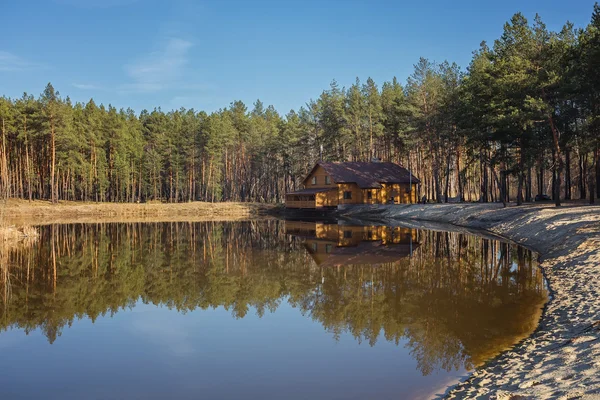 Fiume e foresta primaverile . — Foto Stock