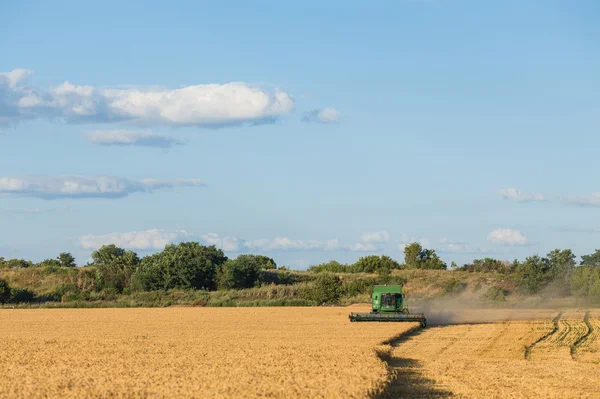Harvesting combine in the field — Stock Photo, Image