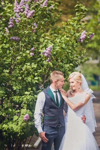 Joven pareja de boda disfrutando de momentos románticos — Foto de Stock