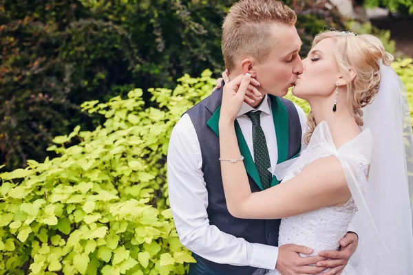 Bruid en bruidegom kussen in het park — Stockfoto