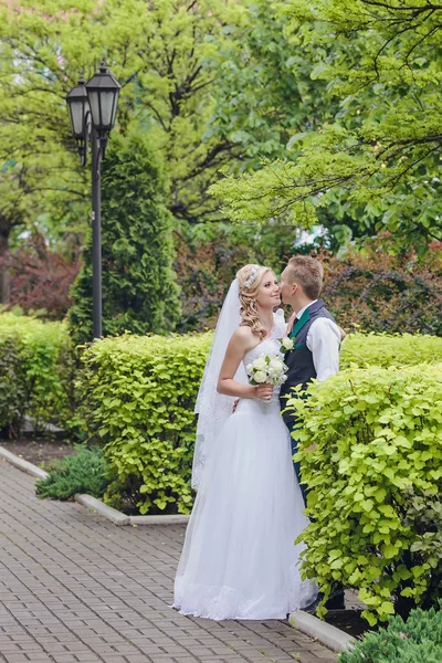 Happy bride and groom — Stock Photo, Image