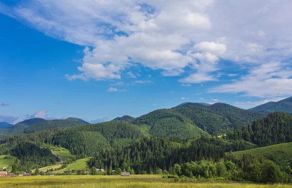 Idylliska landskapet i Alperna med färska gröna ängar — Stockfoto