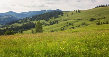 dağlarda yaz peyzaj