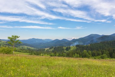 dağlarda yaz peyzaj
