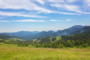 dağlarda yaz peyzaj