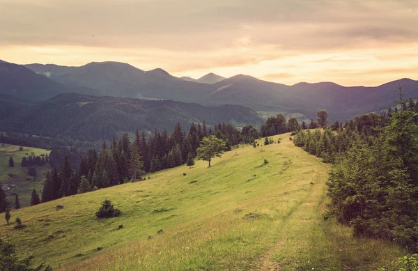 Idylická krajina v Alpách s čerstvé zelené louky — Stock fotografie