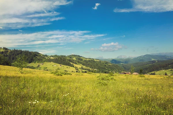 Idyllische Landschaft in den Alpen mit frischen grünen Wiesen — Stockfoto