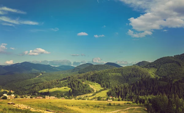 Sommerlandschaft in den Bergen — Stockfoto