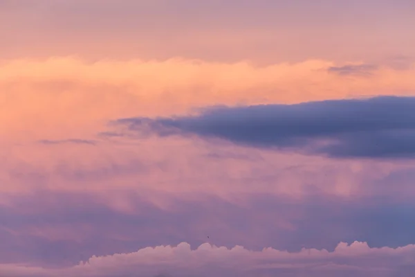 Ljusa solnedgång himmel bakgrund — Stockfoto