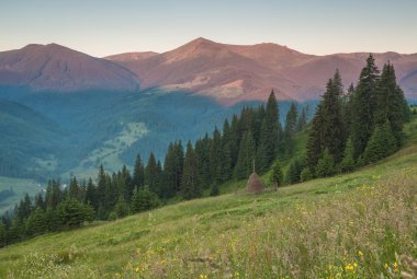 dağlarda yaz peyzaj