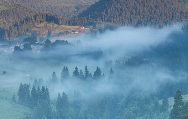 Летний пейзаж с деревней в горах — стоковое фото