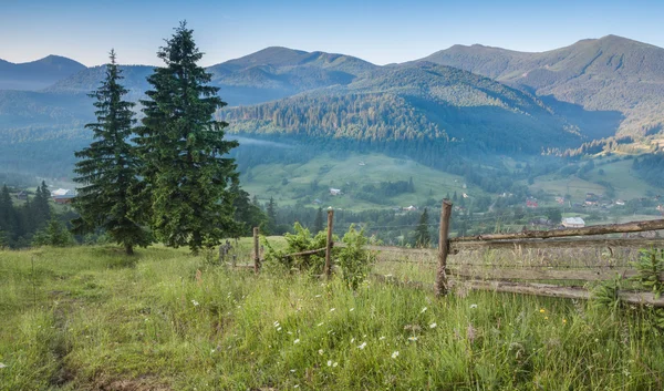 Majestätisk utsikt över skogen glöder av solljus på twilight. Dramatiska och pittoreska morgon scen. — Stockfoto