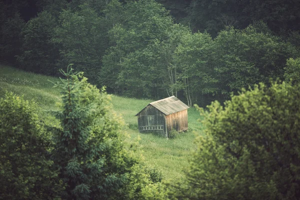 Vue majestueuse sur les bois qui brillent par la lumière du soleil au crépuscule. Scène matinale dramatique et pittoresque . — Photo