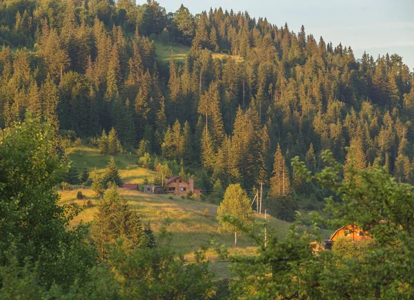 Dağlarda yaz peyzaj — Stok fotoğraf